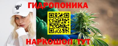 индика Владимир