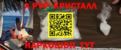 индика Владимир
