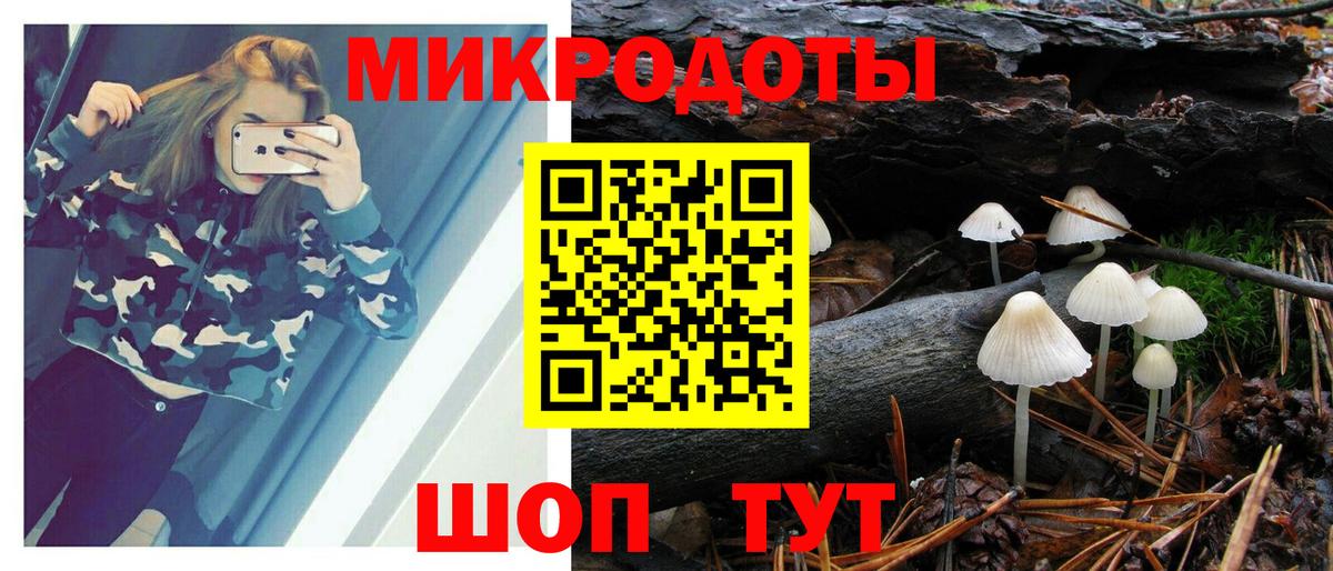 Псилоцибиновые грибы GOLDEN TEACHER  Галлюциногенные грибы Psilocybe  Вход с VPN  Великие Луки 